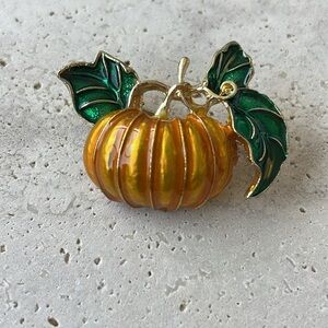 Macys pumpkin 🎃 brooch